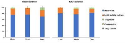 Iron dissolution from Patagonian dust in the Southern Ocean: under present and future conditions